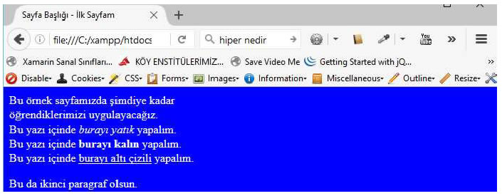 Şekil 5