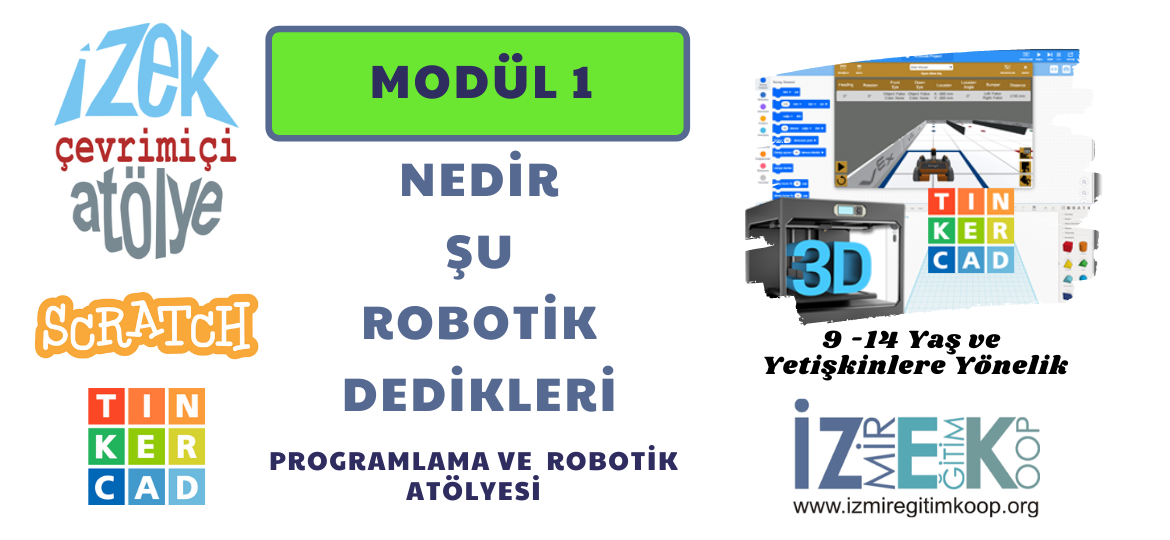 Modül 1